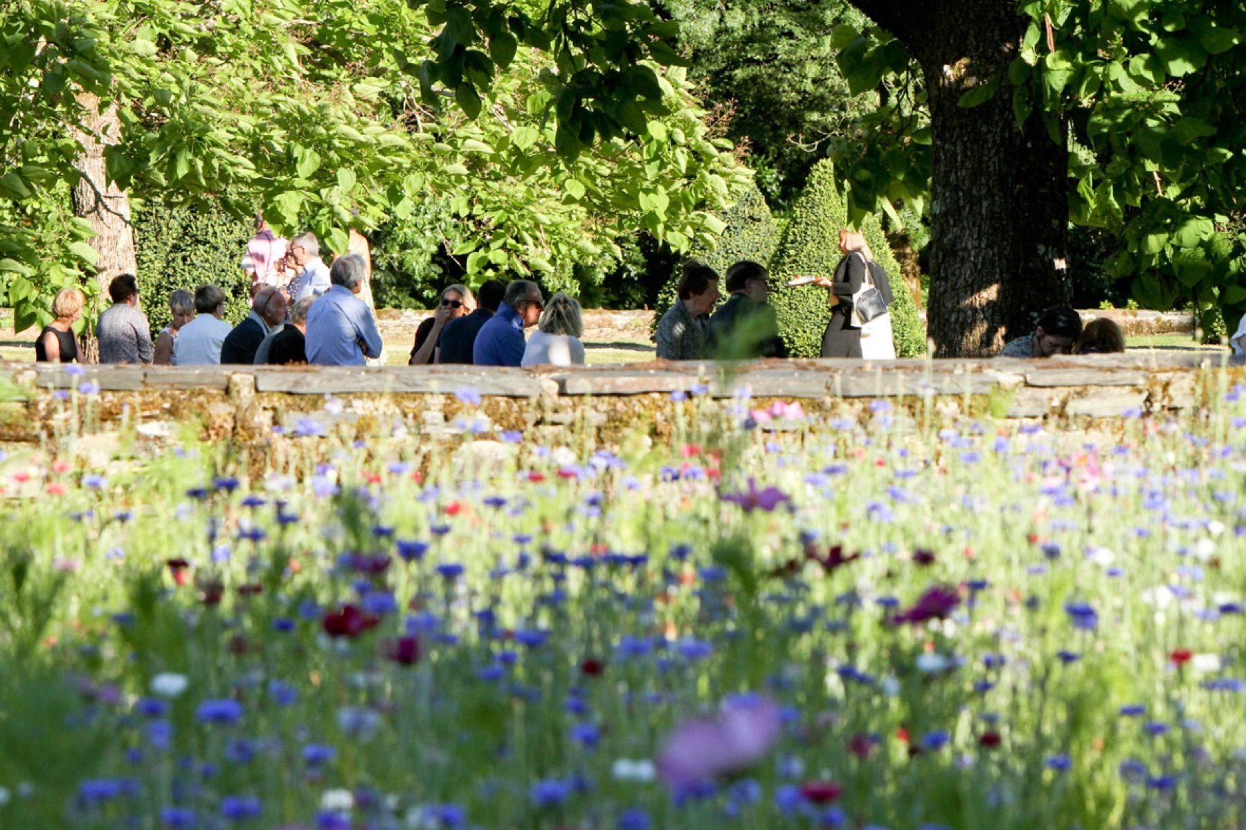 Champ de fleurs sauvages dans le parc du château